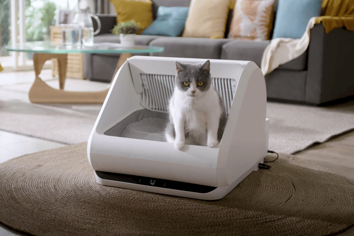 Popur is designed to clean up cat litter