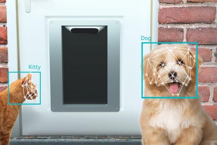 Users set up and control the Petvation system via a mobile app, which will allow them to register authorized furry friends, set curfew times and keep track of traffic through the entry point