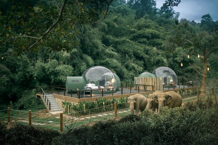 If you'd like to stay in one of the Jungle Bubbles, they are an optional extra for visitors at the Anantara Golden Triangle Elephant Camp & Resort