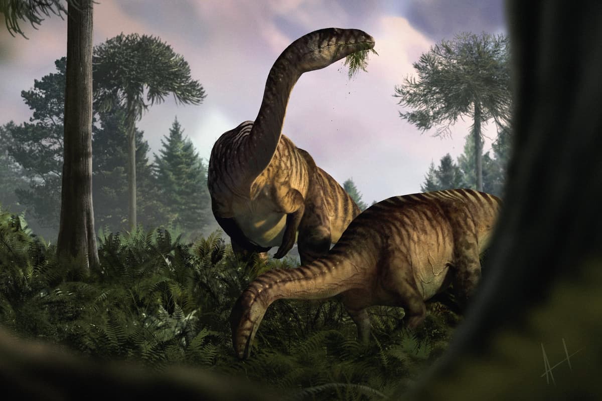 An artist's impression of dinosaurs grazing in Jurassic Poland