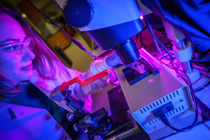 Lead scientist Stephanie Fraley works with one of the possibly infected blood samples used in the study