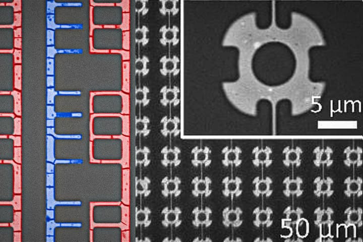 A new manufacturing technique has successfully "self-assembled" transistors, diodes and wires at the nanoscale