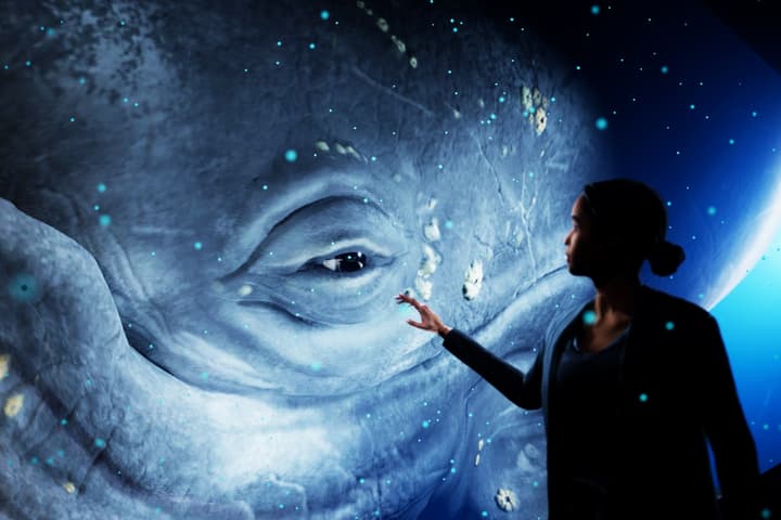 Brisbane's Hologram Zoo offers 3D experiences based on Euclideon's holographic screen technology